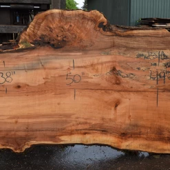 Goby Walnut Products Big Leaf Maple Slab 042721-06