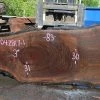 Goby Walnut Products Oregon Black Walnut Slab 042817-01