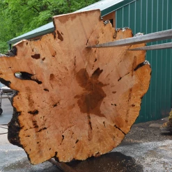 Goby Walnut Products Green Slabs Big Leaf Maple Burl 043021-01