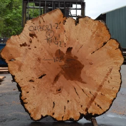 Goby Walnut Products Big Leaf Maple Burl 043021-02 Green Slabs