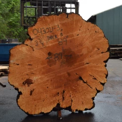 Goby Walnut Products Green Slabs Big Leaf Maple Burl 043021-03