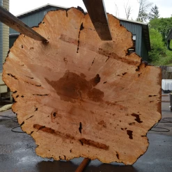 Goby Walnut Products Green Slabs Big Leaf Maple Burl 043021-03