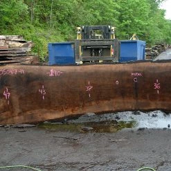 Goby Walnut Products Oregon Black Walnut Slab 050417-11 Green Slabs