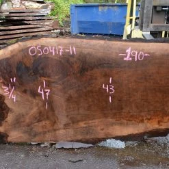 Goby Walnut Products Oregon Black Walnut Slab 050417-11 Green Slabs