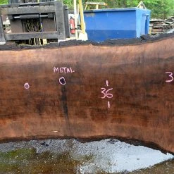 Goby Walnut Products Oregon Black Walnut Slab 050417-11 Green Slabs