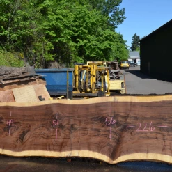 Goby Walnut Products Green Slabs Oregon Black Walnut Slab 050720-01