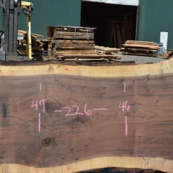 Goby Walnut Products Green Slabs Oregon Black Walnut Slab 050720-04