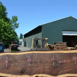 Goby Walnut Products Oregon Black Walnut Slab 050720-05 Green Slabs