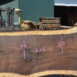 Goby Walnut Products Oregon Black Walnut Slab 050720-05 Green Slabs