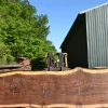 Goby Walnut Products Oregon Black Walnut Slab 050720-07