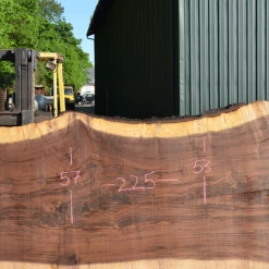 Goby Walnut Products Oregon Black Walnut Slab 050720-07