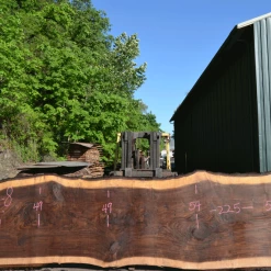 Goby Walnut Products Green Slabs Oregon Black Walnut Slab 050720-08