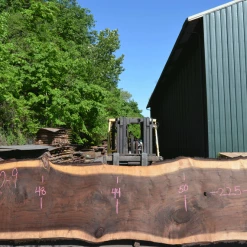 Goby Walnut Products Oregon Black Walnut Slab 050720-09 Green Slabs