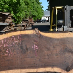 Goby Walnut Products Oregon Black Walnut Slab 050720-09 Green Slabs