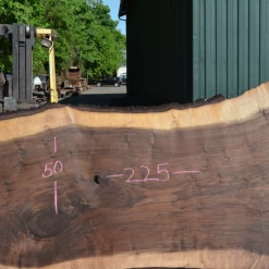 Goby Walnut Products Oregon Black Walnut Slab 050720-09 Green Slabs
