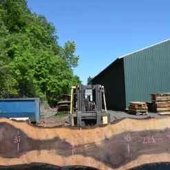 Goby Walnut Products Green Slabs Oregon Black Walnut Slab 050720-11