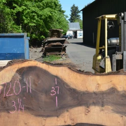 Goby Walnut Products Green Slabs Oregon Black Walnut Slab 050720-11
