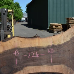Goby Walnut Products Green Slabs Oregon Black Walnut Slab 050720-11