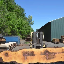 Goby Walnut Products Oregon Black Walnut Slab 050720-12