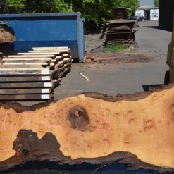 Goby Walnut Products Oregon Black Walnut Slab 050720-12