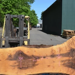 Goby Walnut Products Oregon Black Walnut Slab 050720-12