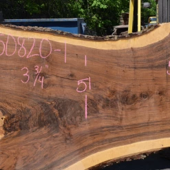 Goby Walnut Products Green Slabs Oregon Black Walnut Slab 050820-01
