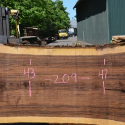 Goby Walnut Products Green Slabs Oregon Black Walnut Slab 050820-01