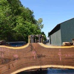 Goby Walnut Products Green Slabs Oregon Black Walnut Slab 050820-03