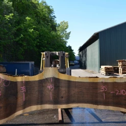 Goby Walnut Products Oregon Black Walnut Slab 050820-05