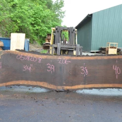 Goby Walnut Products Oregon Black Walnut Slab 050820-08 Green Slabs