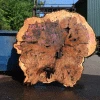 Goby Walnut Products Big Leaf Maple Burl 051221-02