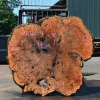 Goby Walnut Products Big Leaf Maple Burl 051221-04 Green Slabs