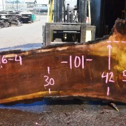 Goby Walnut Oregon Black Walnut Slab 051316-04 Green Slabs