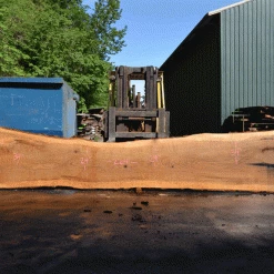 Goby Walnut Products Oregon White Oak Slab 051321-01