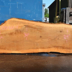 Goby Walnut Products Oregon White Oak Slab 051321-01