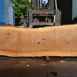 Goby Walnut Products Oregon White Oak Slab 051321-01