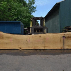 Goby Walnut Products Green Slabs Oregon White Oak Slab 051321-02