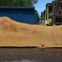 Goby Walnut Products Green Slabs Oregon White Oak Slab 051321-02