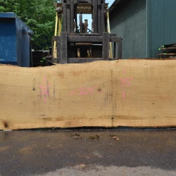 Goby Walnut Products Green Slabs Oregon White Oak Slab 051321-02