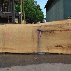 Goby Walnut Products Green Slabs Oregon White Oak Slab 051321-02