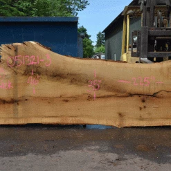 Goby Walnut Products Oregon White Oak Slab 051321-03 Green Slabs