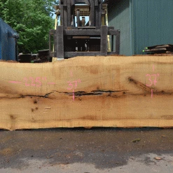 Goby Walnut Products Oregon White Oak Slab 051321-03 Green Slabs