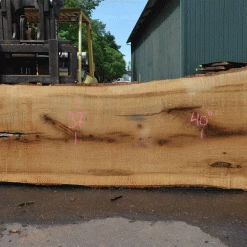 Goby Walnut Products Oregon White Oak Slab 051321-03 Green Slabs