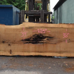 Goby Walnut Products Oregon White Oak Slab 051321-04 Green Slabs