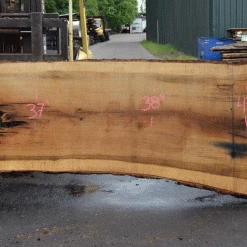 Goby Walnut Products Green Slabs Oregon White Oak Slab 051321-05