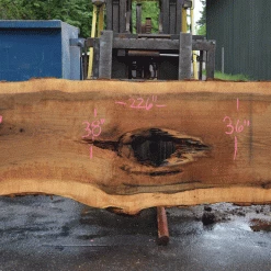 Goby Walnut Products Green Slabs Oregon White Oak Slab 051321-06