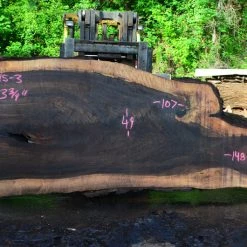 Goby Walnut Oregon Black Walnut Slab 051515-03