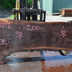 Goby Walnut Products Oregon Black Walnut Slab 051520-02 Green Slabs