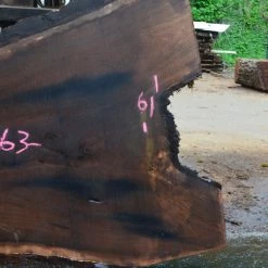 Goby Walnut Green Slabs Oregon Black Walnut Slab 051915-02