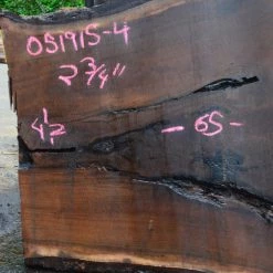 Goby Walnut Oregon Black Walnut Slab 051915-04 Green Slabs